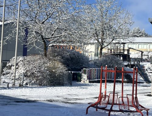 SEL-Gespräche bei herrlichem Winterwetter