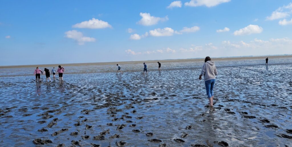 Klassenfahrt der Klassen 5a und 5b an die Nordsee