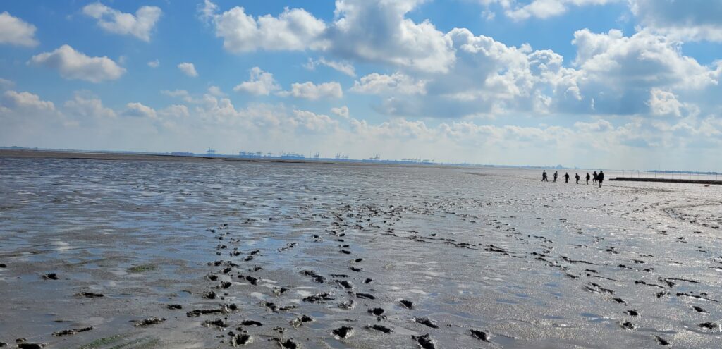 Klassenfahrt der Klassen 5a und 5b an die Nordsee