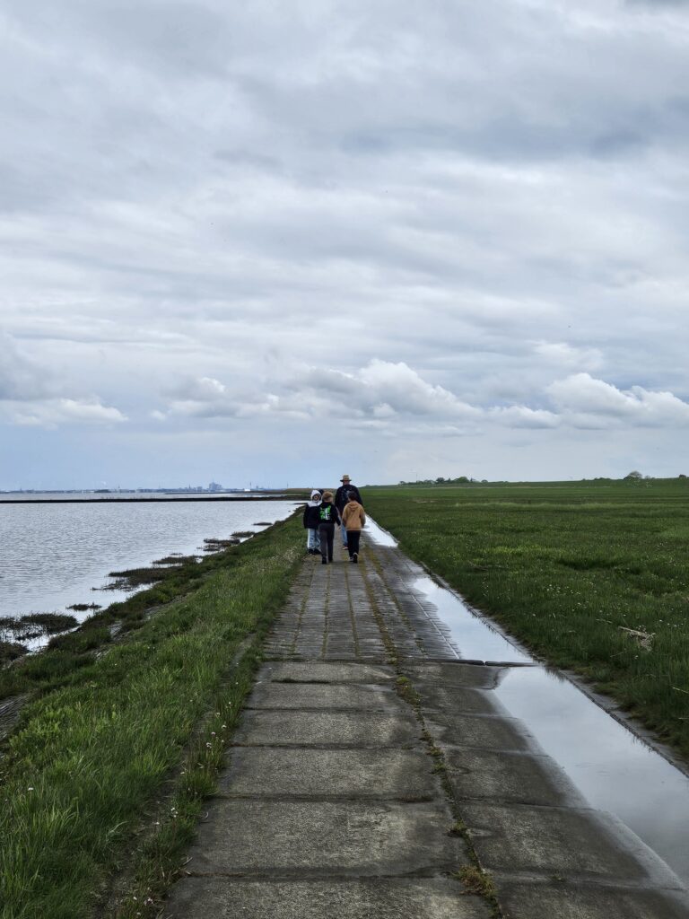 Klassenfahrt der Klassen 5a und 5b an die Nordsee