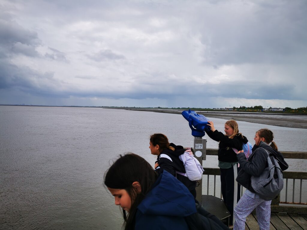 Klassenfahrt der Klassen 5a und 5b an die Nordsee
